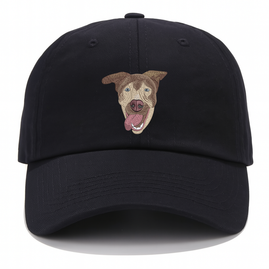 🧢 Pet Nakış Şapka 🐶