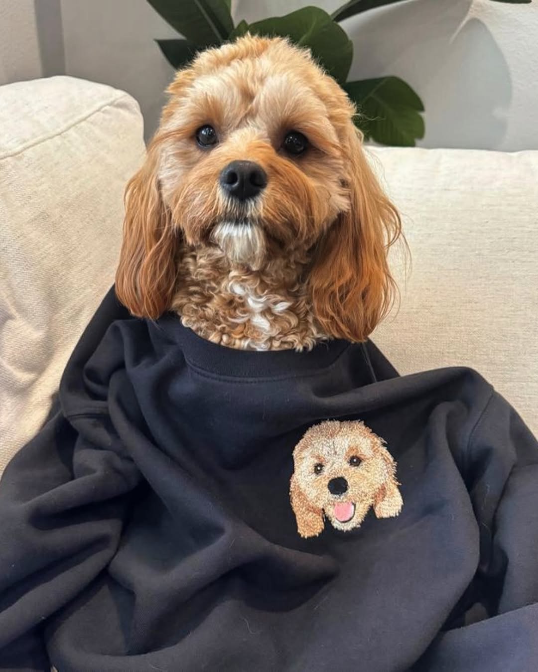 Sweatshirt (Kapşonsuz) - Kişiye Özel Nakış Evcil Hayvan 🐶🐈