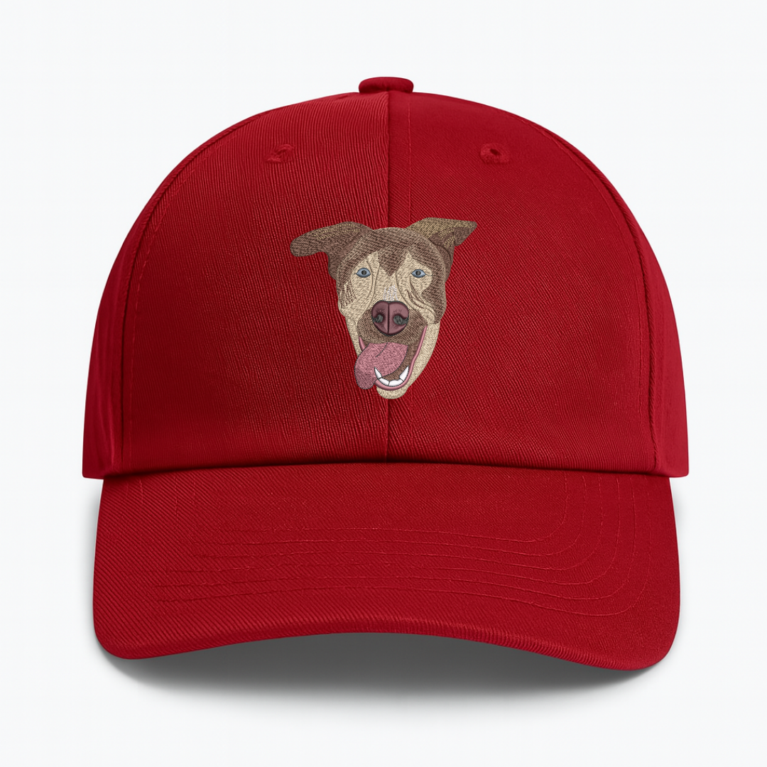 🧢 Pet Nakış Şapka 🐶